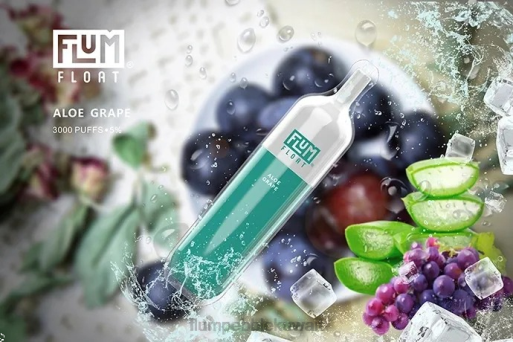 FLUM FLOAT 3000 نفث | Flum Pebble Kuwait City 4JTT2 عنب الصبار