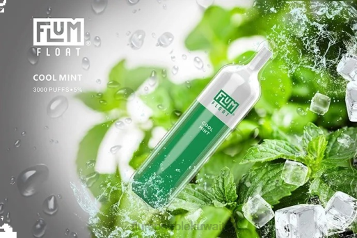 FLUM FLOAT 3000 نفث | Flum Pebble Near Me 4JTT25 نعناع منعش