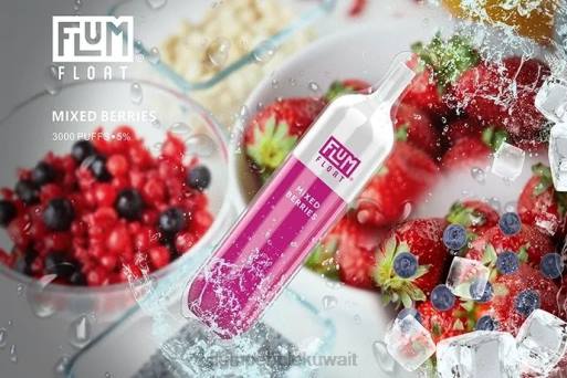 FLUM FLOAT 3000 نفث | Flum Pebble Vape Review 4JTT59 التوت المختلطة