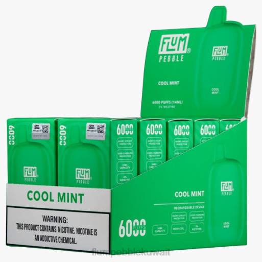 FLUM PEBBLES 6000 بخة 10 عبوات | Flum Pebble Nicotine Percentage 4JTT26 نعناع منعش