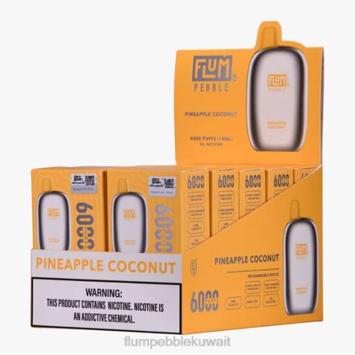 FLUM PEBBLES 6000 بخة 10 عبوات | Flum Pebble Nicotine Percentage 4JTT66 جوز الهند الأناناس