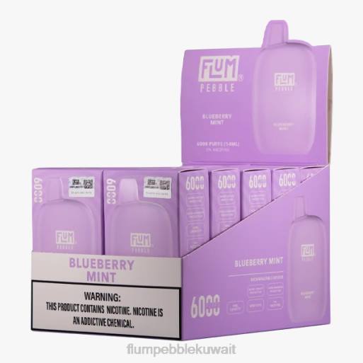 FLUM PEBBLES 6000 بخة 10 عبوات | Flum Pebble Vape Flavors 4JTT18 النعناع التوت