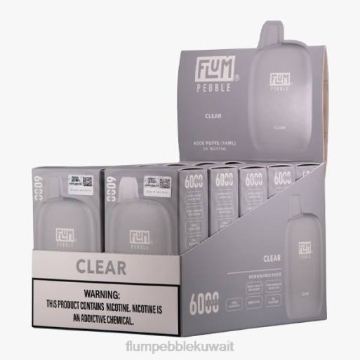 FLUM PEBBLES 6000 بخة 10 عبوات | Flum Pebble Vape Kuwait 4JTT23 واضح