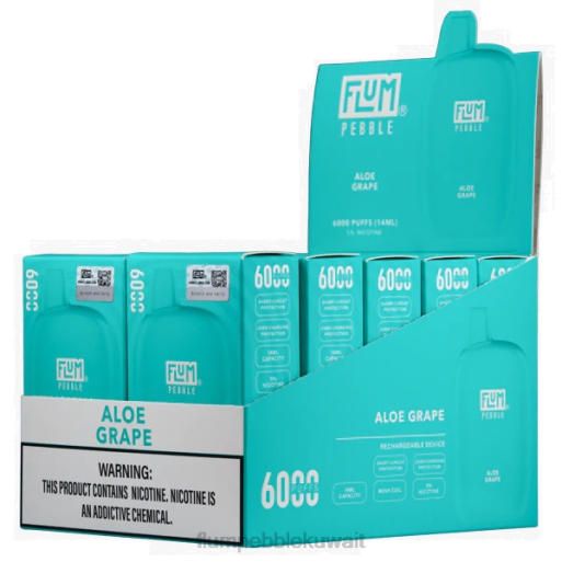FLUM PEBBLES 6000 بخة 10 عبوات | Flum Pebble Vape Kuwait 4JTT3 عنب الصبار