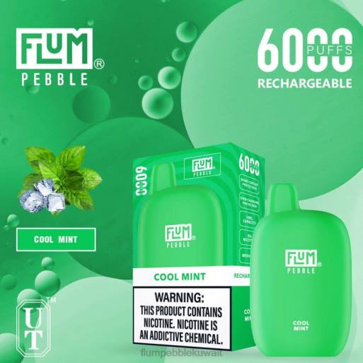 FLUM PEBBLES 6000 نفث | Flum Pebble Flavors 4JTT24 نعناع منعش