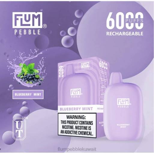 FLUM PEBBLES 6000 نفث | Flum Pebble Flavors Ranked 4JTT17 النعناع التوت