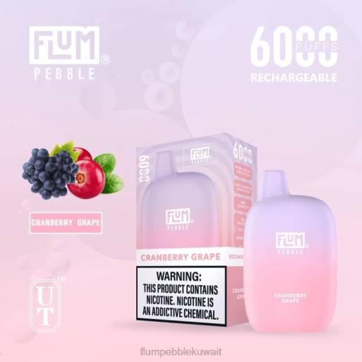 FLUM PEBBLES 6000 نفث | Flum Pebble Flavors Ranked 4JTT27 العنب التوت البري