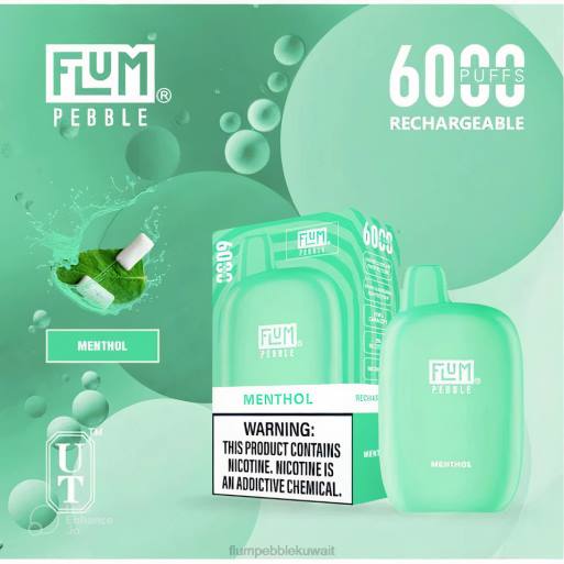 FLUM PEBBLES 6000 نفث | Flum Pebble Flavors Ranked 4JTT57 المنثول