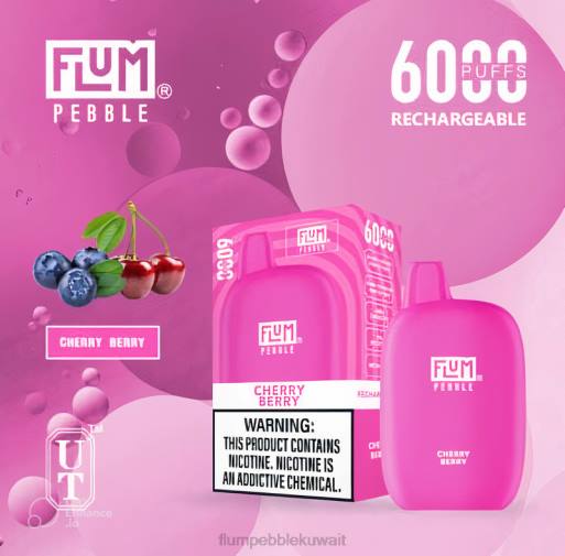 FLUM PEBBLES 6000 نفث | Flum Pebble Vape Price 4JTT20 التوت والكرز