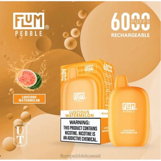 FLUM PEBBLES 6000 نفث | Flum Pebble Vape Price 4JTT50 البطيخ فاتنة