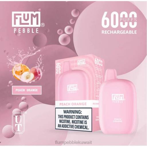 FLUM PEBBLES 6000 نفث | Flum Pebble Vape Price 4JTT60 الخوخ الجليدي