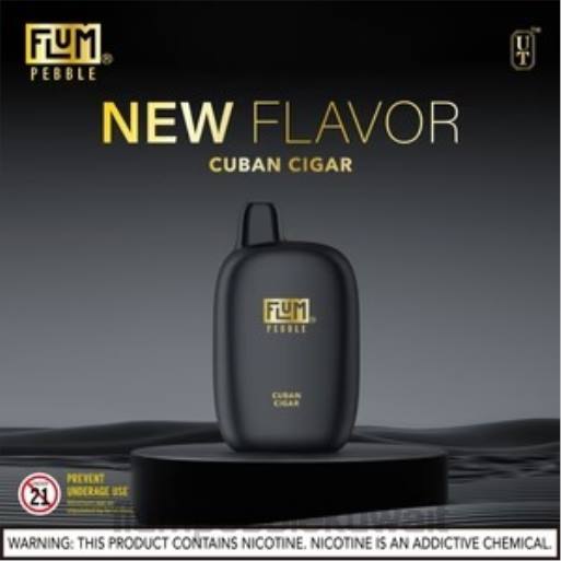 FLUM PEBBLES 6000 نفث | Flum Pebble Vape Review 4JTT29 السيجار الكوبي