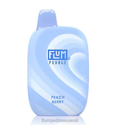 FLUM PEBBLES 6000 نفث | Flum Pebble Vape Review 4JTT39 التوت الخوخ