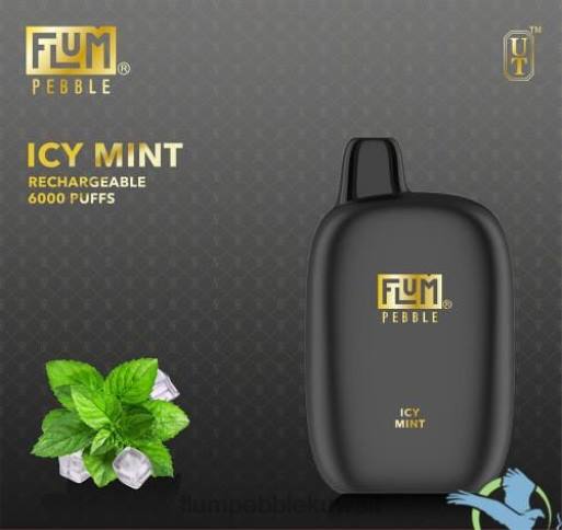 FLUM PEBBLES 6000 نفث | Flum Pebble Vape Review 4JTT49 النعناع الجليدي